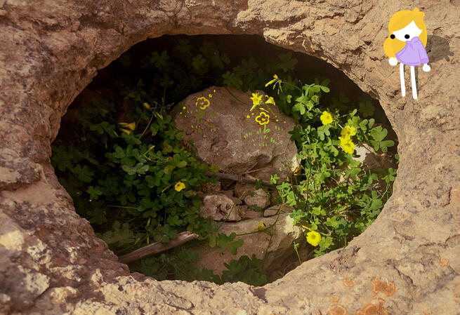 Secret Garden