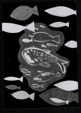 A photogram of a whale shark surrounded by fish