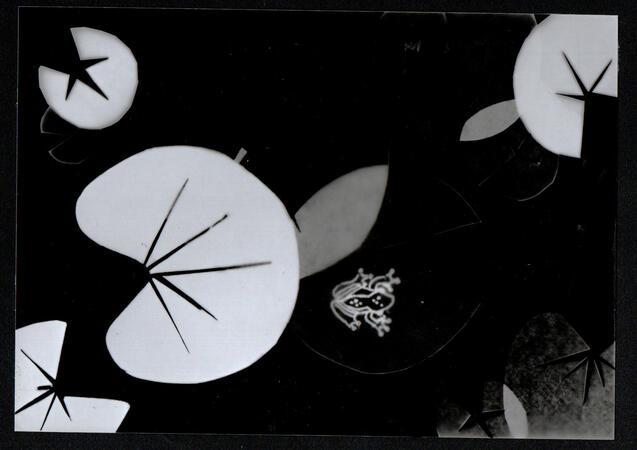 A photogram of a frog on lilypads