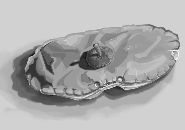 Crab Study